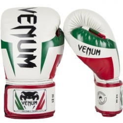 VENUM ELITE ITALY BOXING GLOVES / ICE