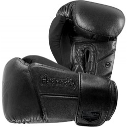 HAYABUSA FIGHTWEAR - Tokushu&reg; Regenesis Stealth 12oz Gloves