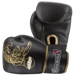 HAYABUSA FIGHTWEAR - Premium Muay Thai 10oz Gloves HAYABUSA FIGHTWEAR - Premium Muay Thai 10oz Gloves