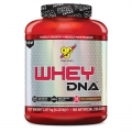 BSN - Whey DNA - 1870гр.